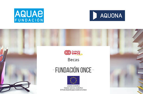 becas de la Fundación ONCE